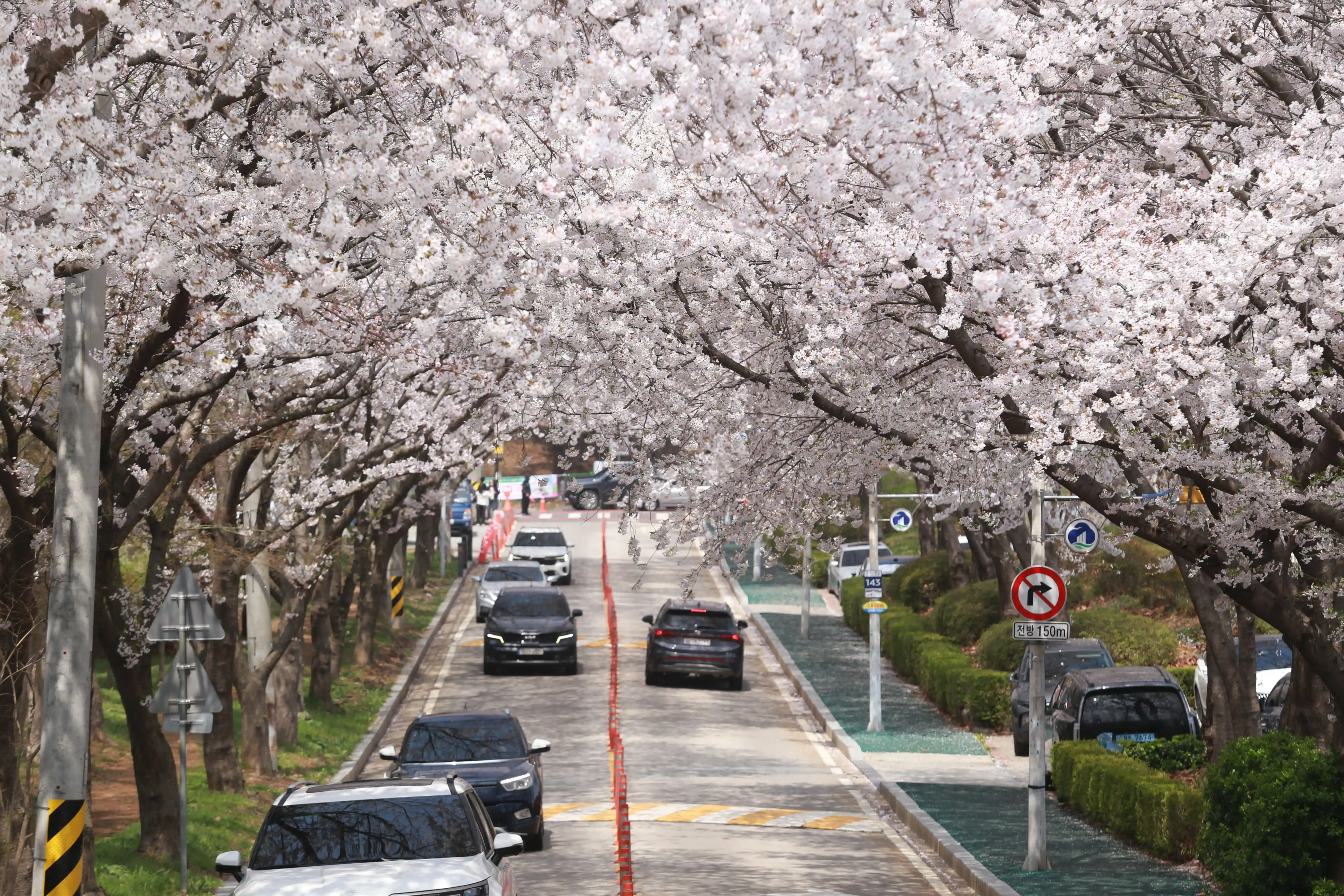 South Korea