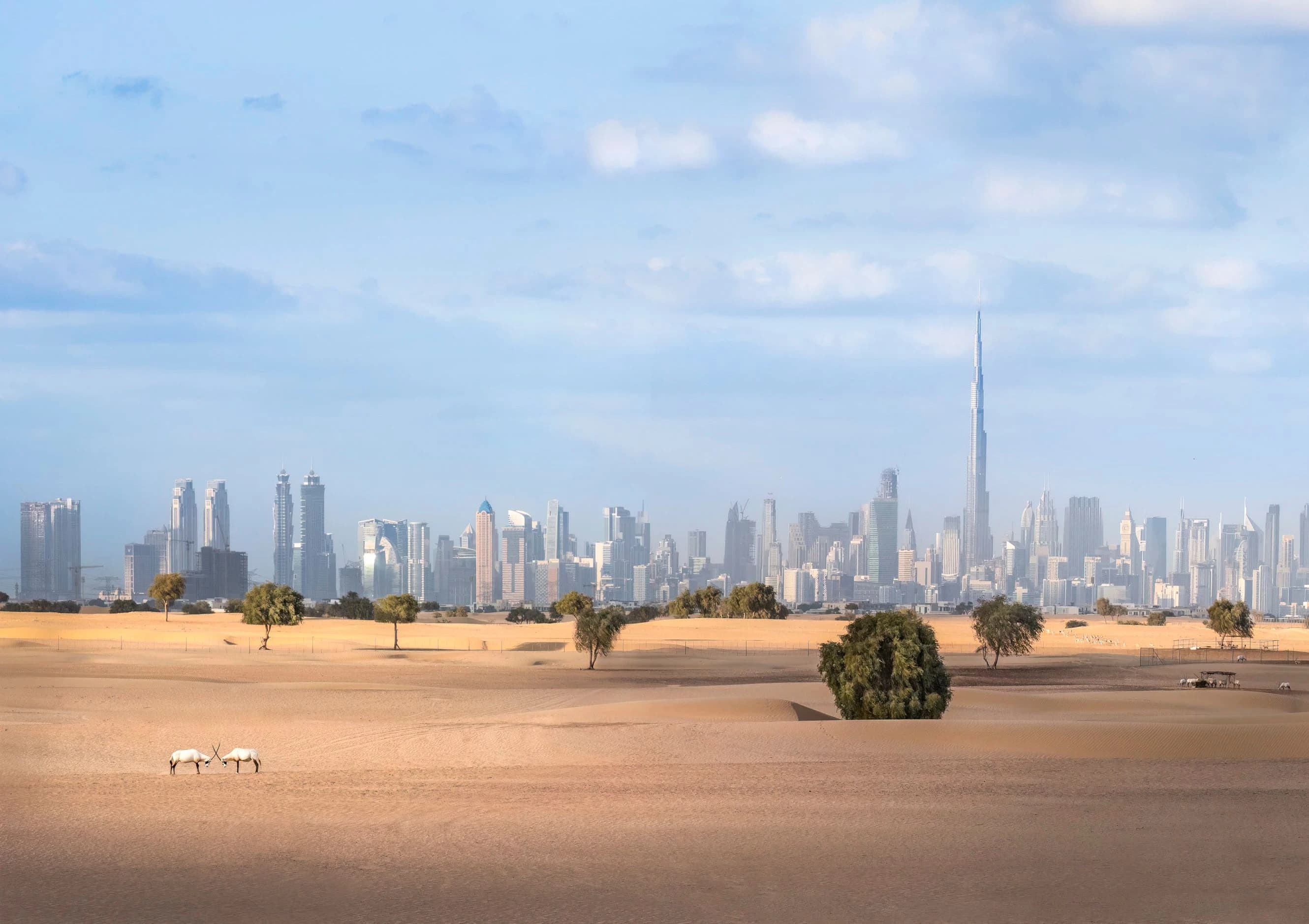 United Arab Emirates